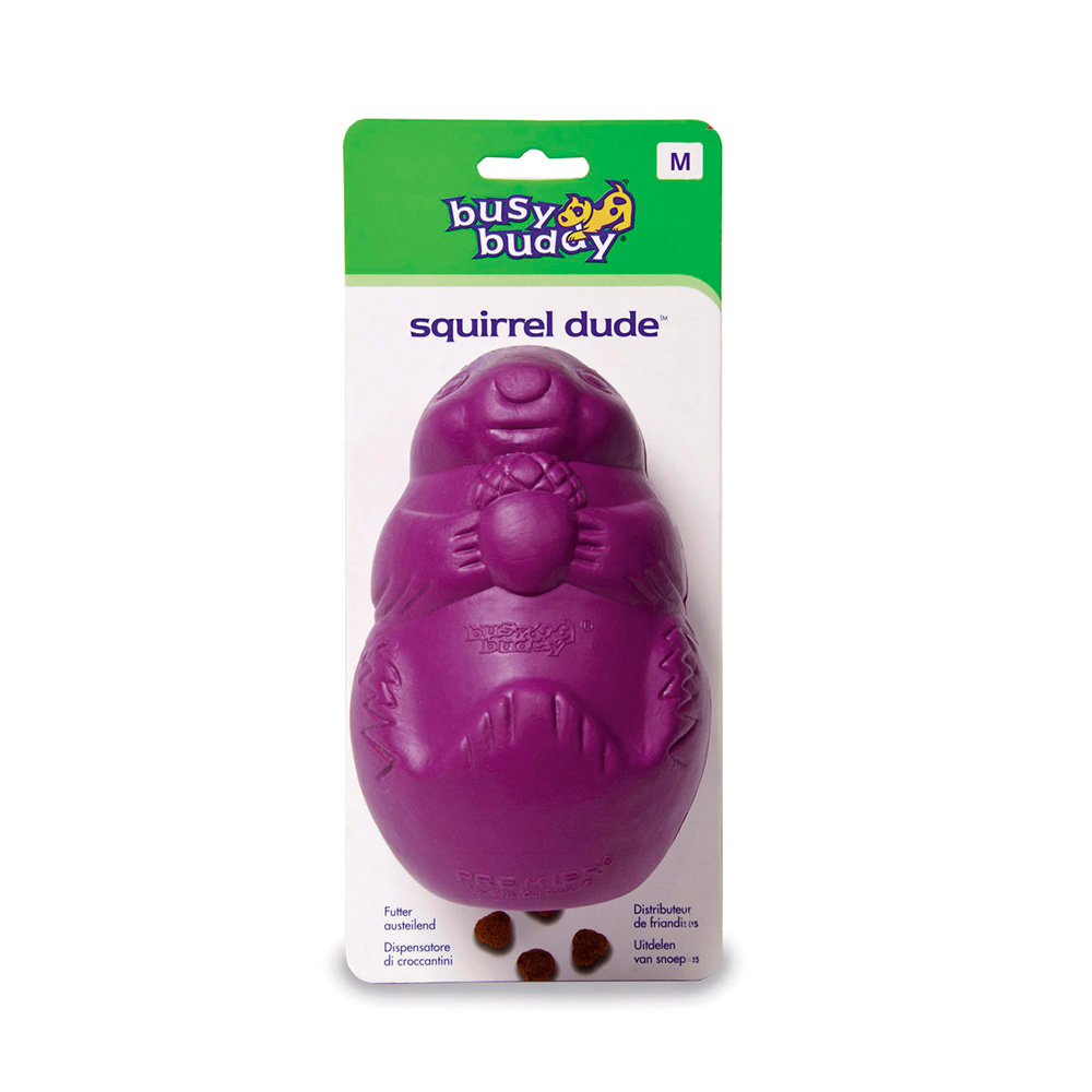 Ult. unidades brinquedo para premios busy buddy squirrel dude medio